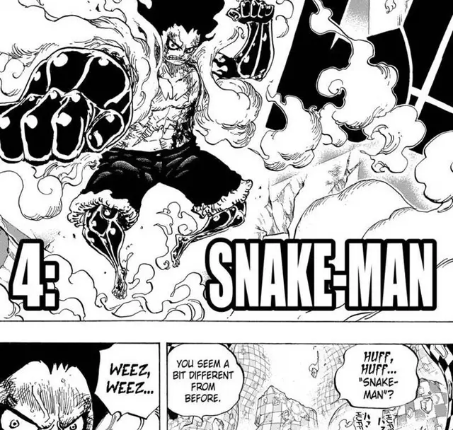 gear4 form reveal splash — payoff