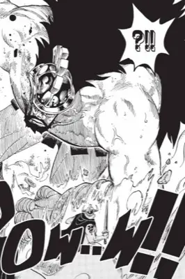 mirror luffy onepunch 0714 sibling — panel