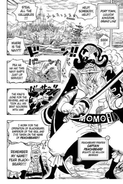 mirror revcaptains label splash 0069 0904 peachbeard — panel