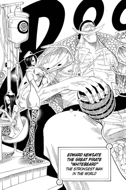whitebeard strongest — seed