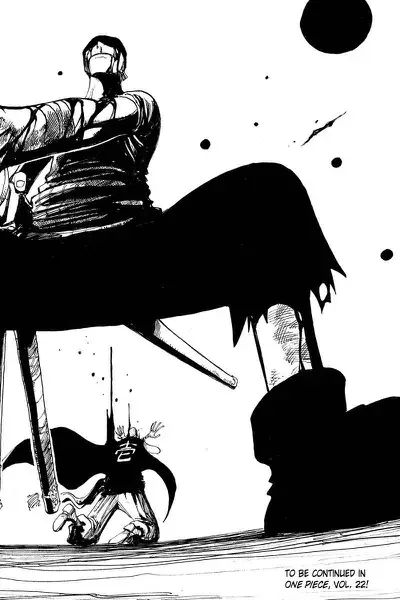mirror zoro lion strike aftermath 0033 0195 — panel